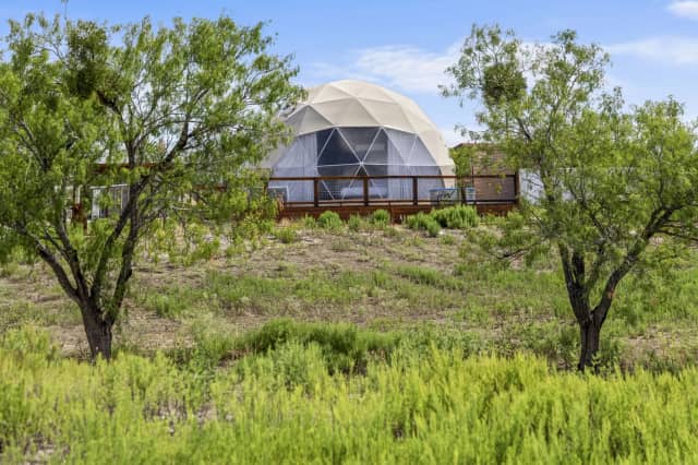 Dome exterior among native trees